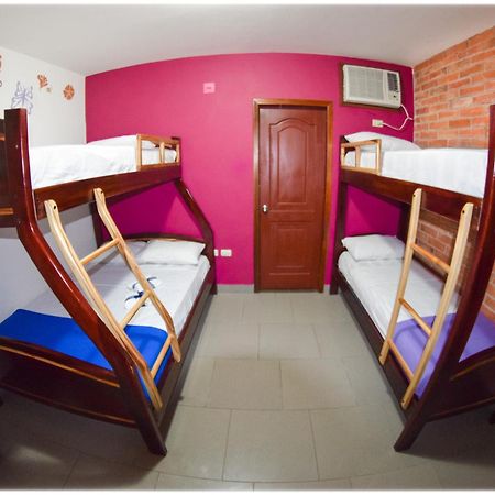 Hotel Olympus Montanita Bilik gambar